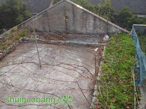 210248lbqi2f32zoq5sbei.jpg