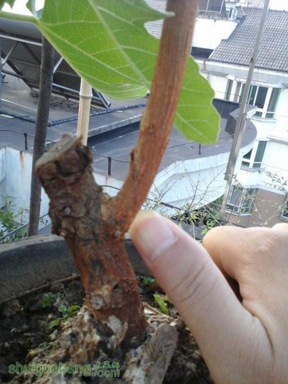 20141011_062500.jpg