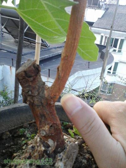 20141011_062458.jpg