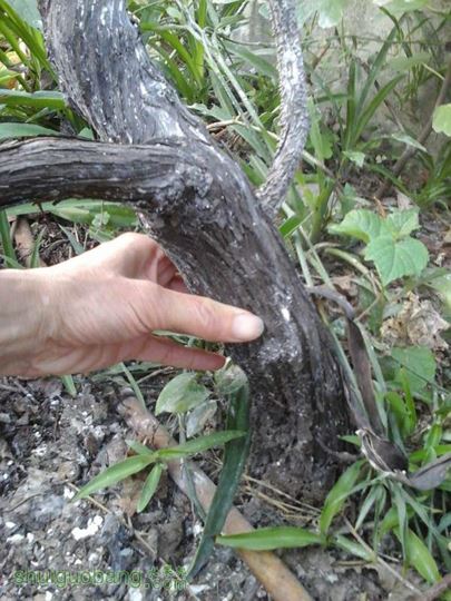 20140926_165625.jpg