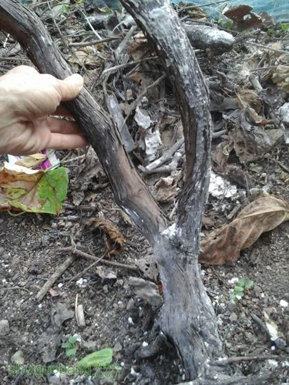 20140926_165550.jpg