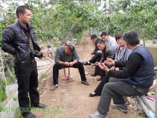 Ƭ 090.jpg