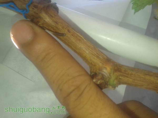 20141013_115130.jpg