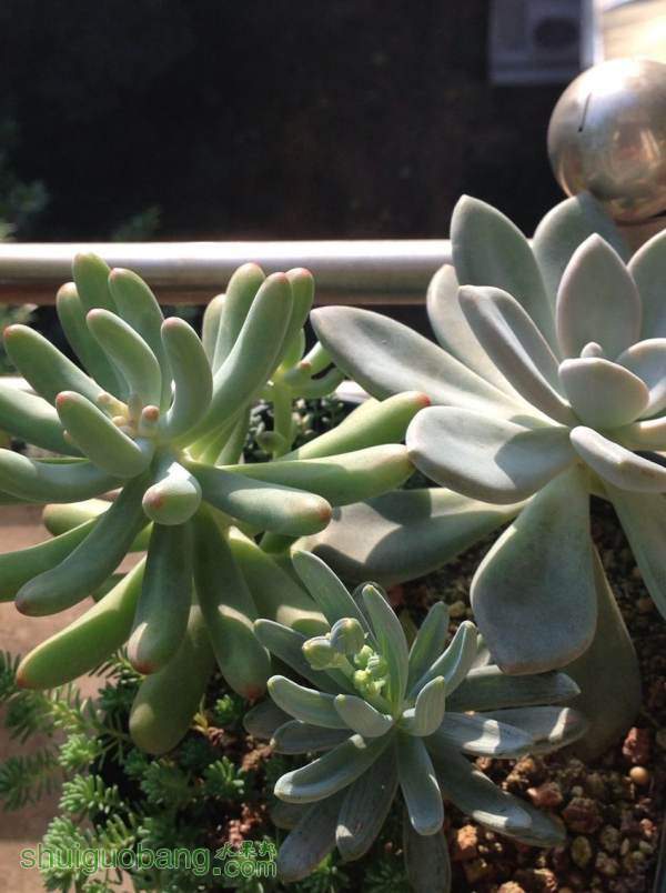 QQͼƬ20141013172749.jpg