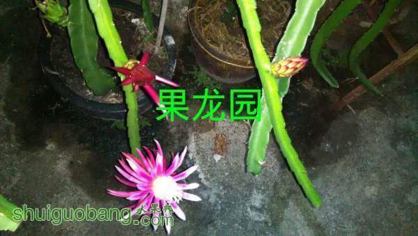 IMG_20141010_213513.jpg