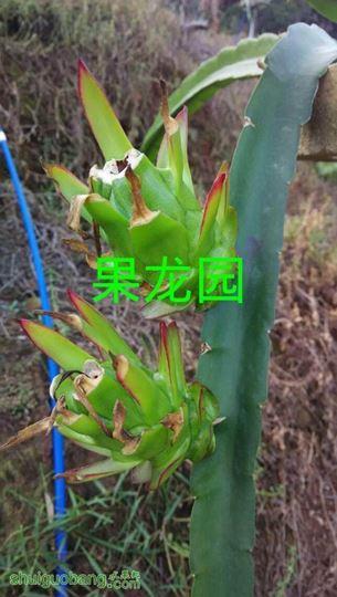 IMG_20141011_072626.jpg