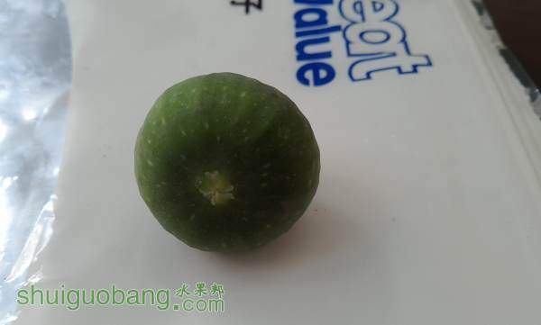20141014093708.jpg