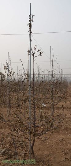 20131¶ǰ