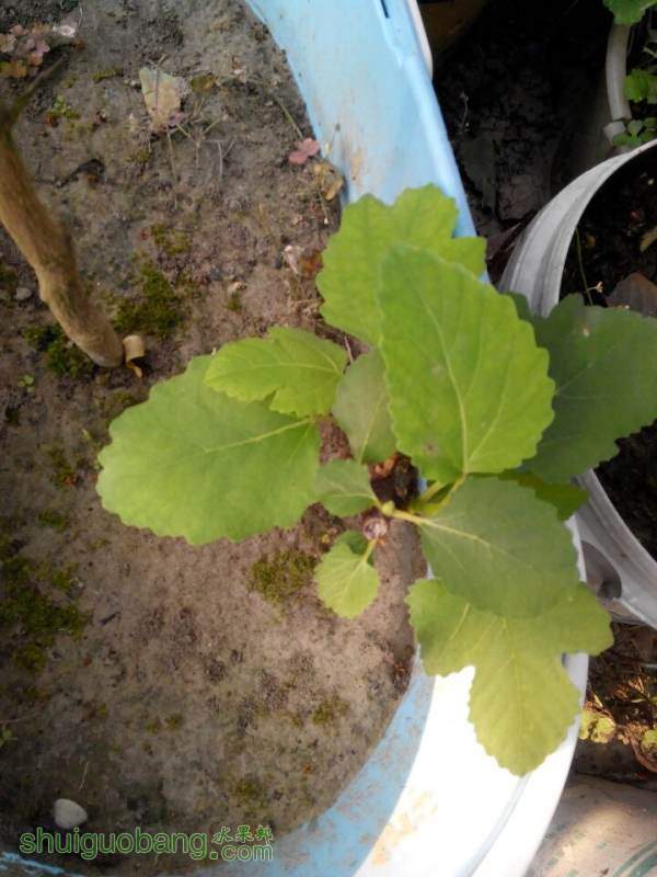 QQͼƬ20141015185251.jpg