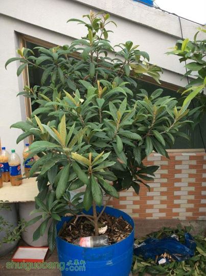 2014-10-16 064546.jpg