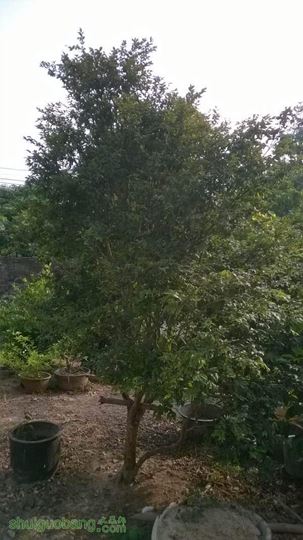WP_20141015_013.jpg