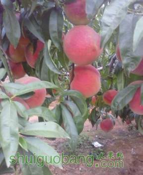 IMG_20140818_174414_0.jpg