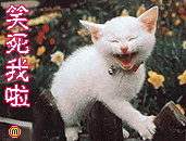 Ц.gif