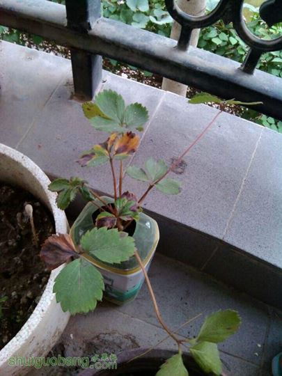 QQͼƬ20141018111059.jpg