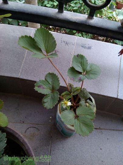 QQͼƬ20141018111131.jpg