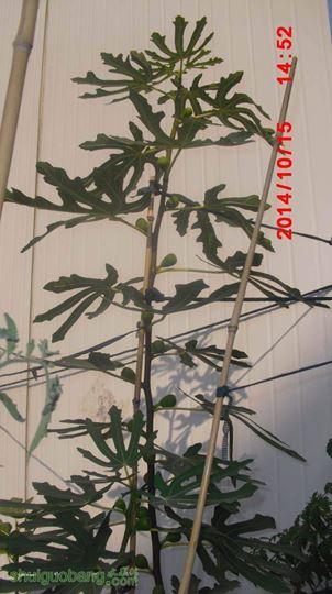 CIMG5677.JPG