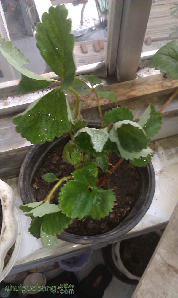 IMAG0045.jpg
