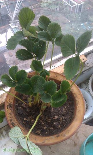 IMAG0046.jpg