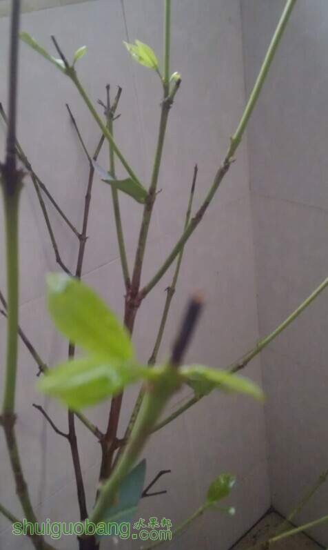 QQͼƬ20141020090353.jpg