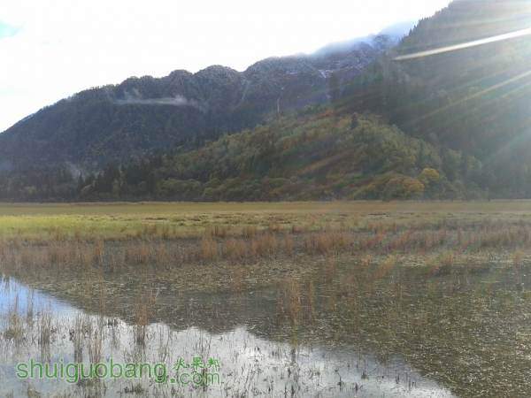 20141019_084450.jpg