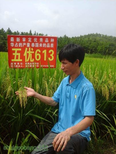 20140726_102235.jpg