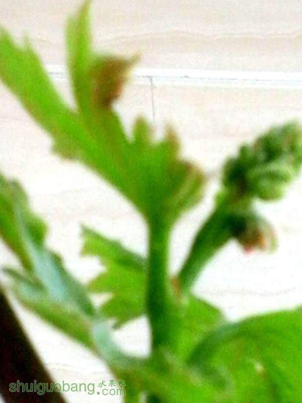 20141021_132009.jpg