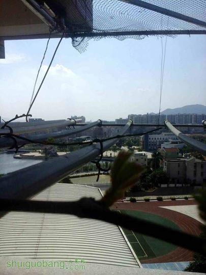 20141021_132119.jpg