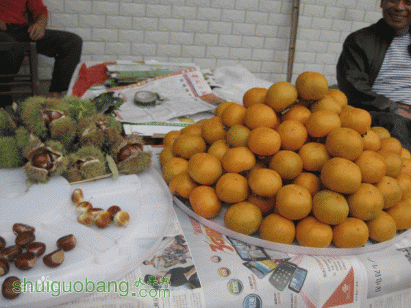ca1349540923dd5470e3eebad109b3de9d82484b.gif