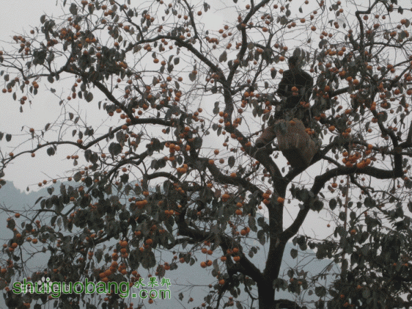 dc54564e9258d1099a73e060d158ccbf6d814d4b.gif