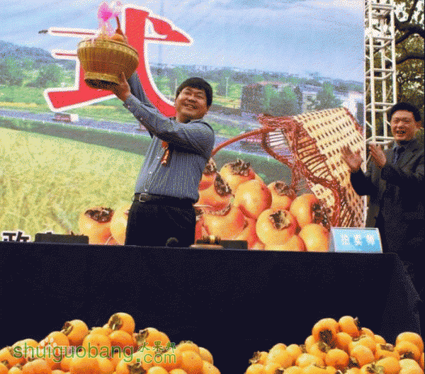 d439b6003af33a87095148c8c65c10385343b520.gif