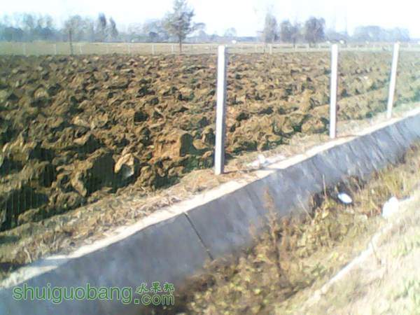 ѻ20141026.jpg