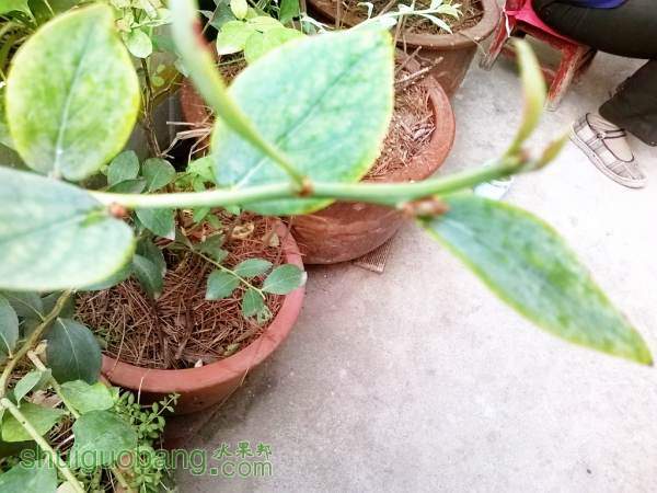 MediaLib_Camera Roll_Camera360_2014_10_27_091218.jpg