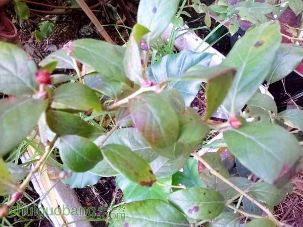 MediaLib_Camera Roll_Camera360_2014_10_27_091235.jpg
