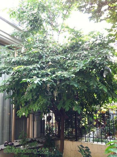 2014-10-18 141732.jpg