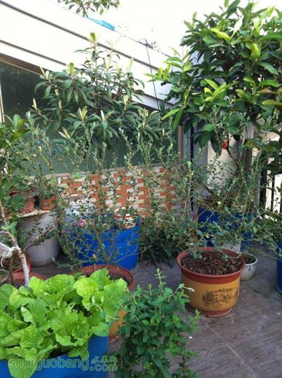 2014-10-28 070648.jpg