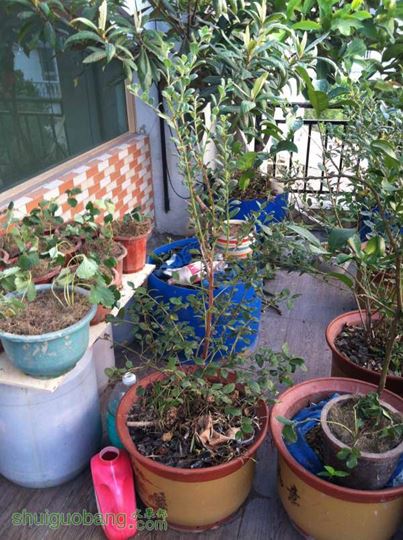 2014-10-28 065130.jpg