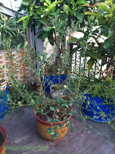 2014-10-28 065145.jpg