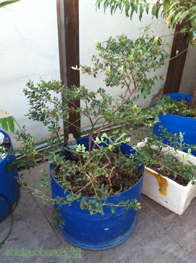 2014-10-28 065152.jpg