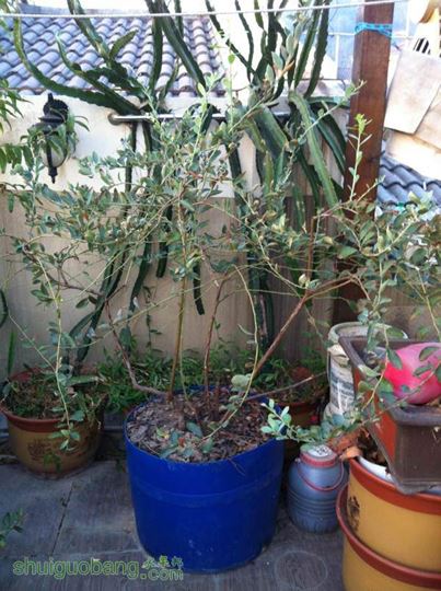 2014-10-28 065157.jpg