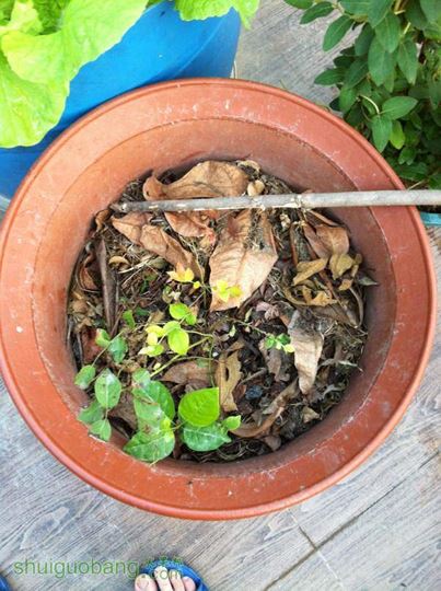 2014-10-28 070708.jpg