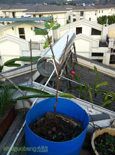 2014-10-28 070207.jpg