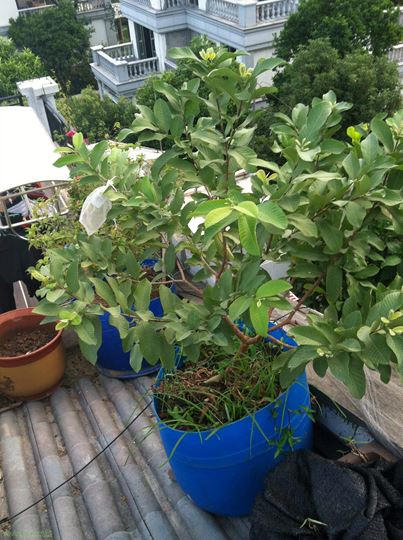 2014-10-29 065309.jpg