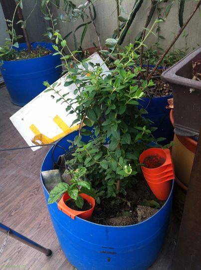 2014-10-29 065402.jpg