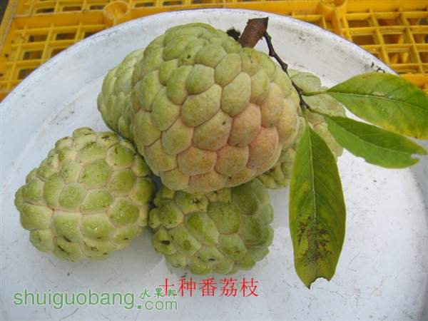 IMG_0002_123.jpg