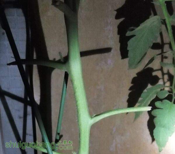 230126vd9ni63377i7kril.jpg
