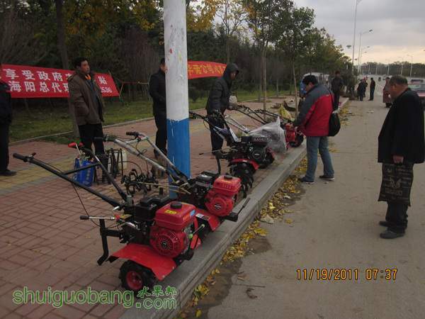 IMG_0631.jpg