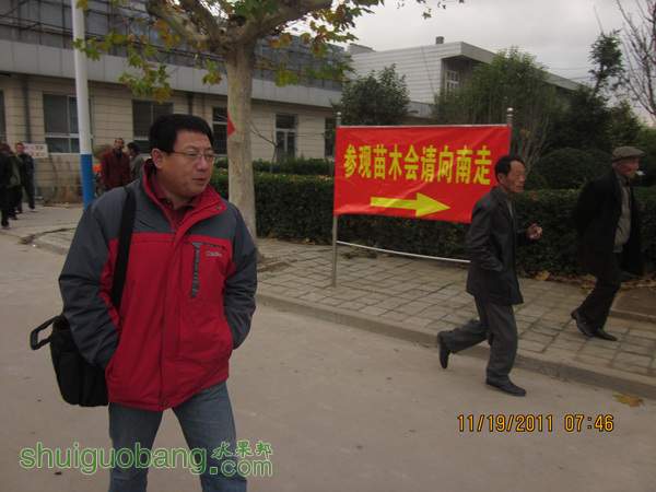IMG_0642.jpg