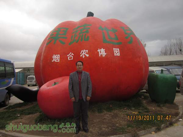 IMG_0646.jpg