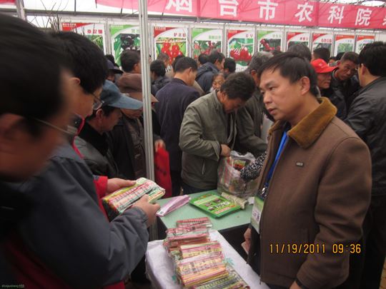 ڷڷۼ.JPG
