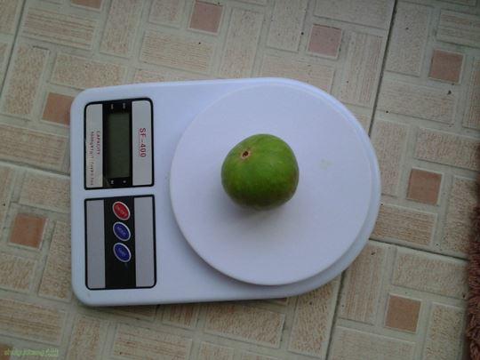 2014-10-22 16.10.07.jpg